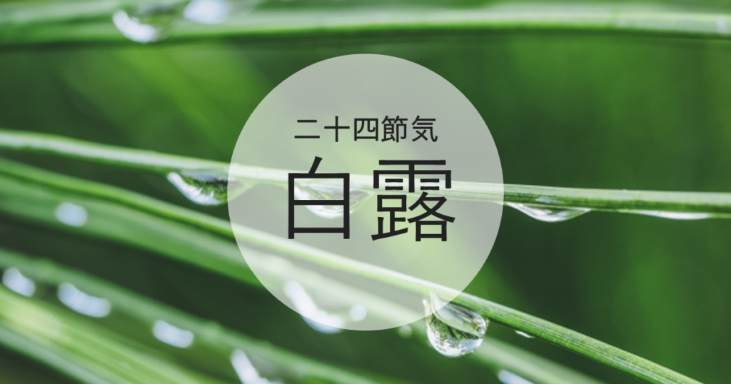 白露
