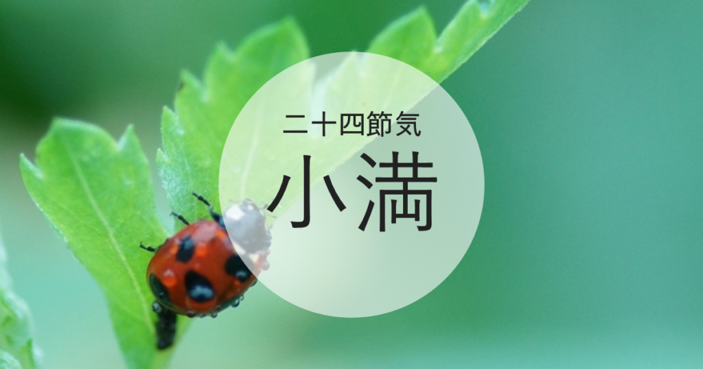 小満