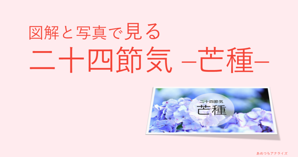 図解と写真で見る二十四節気の芒種
