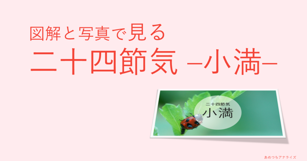 図解と写真で見る二十四節気の小満