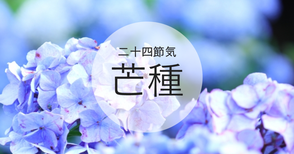 芒種