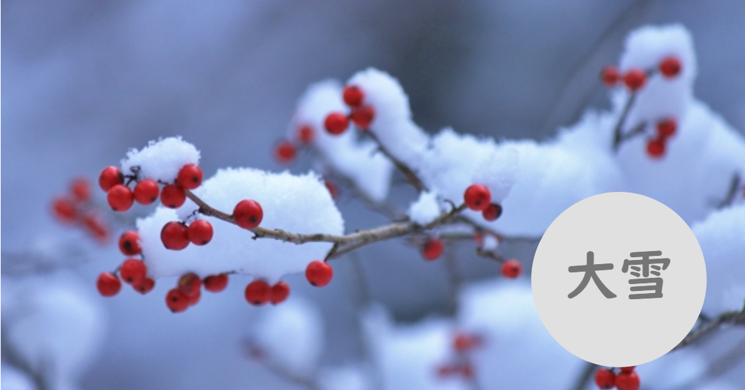 【二十四節気便り】大雪 あめつちアナライズ