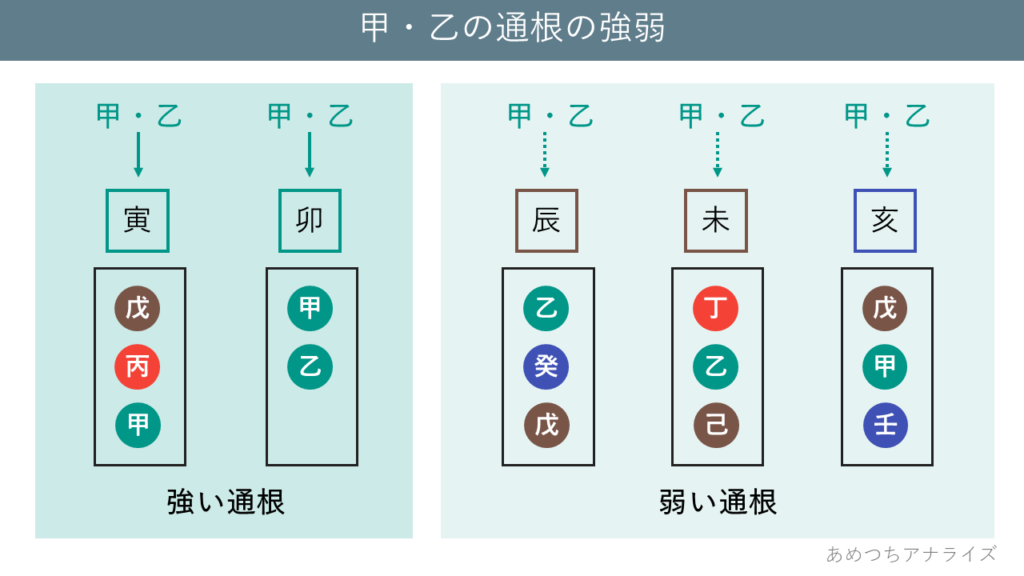 甲・乙の通根の強弱